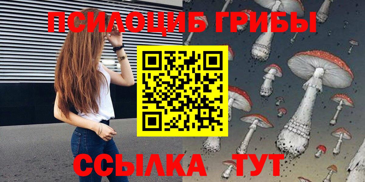 Псилоцибиновые грибы Psilocybine cubensis Петрозаводск