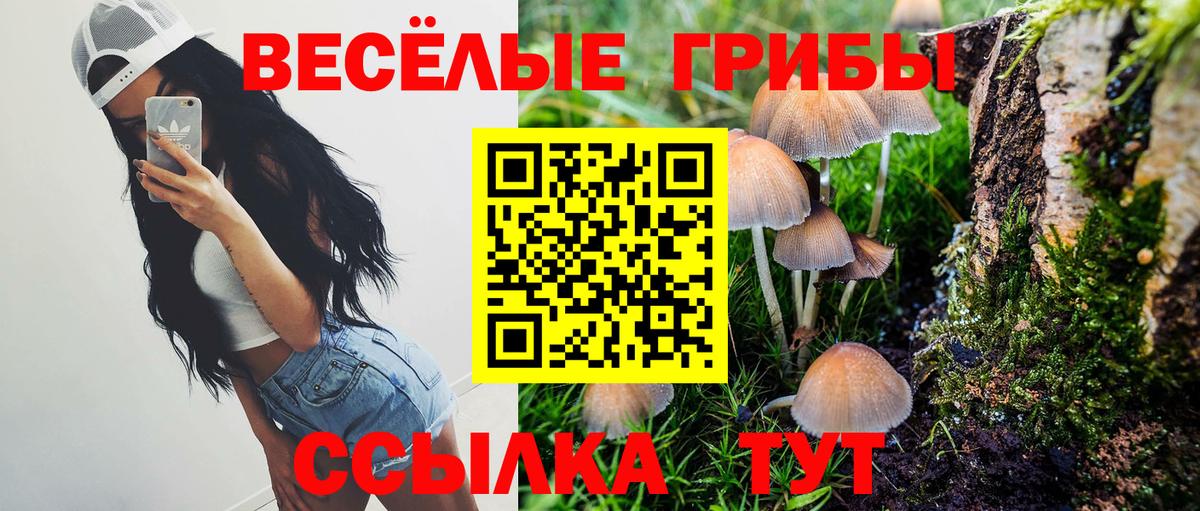 Галлюциногенные грибы Psilocybe  Вход с VPN  Петрозаводск 